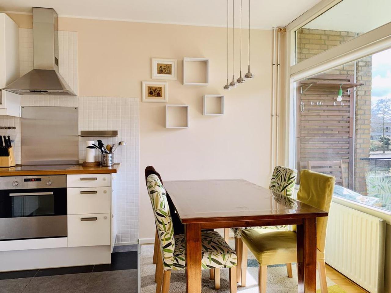 Rental Apartment on Frieslandstraat - Image 7