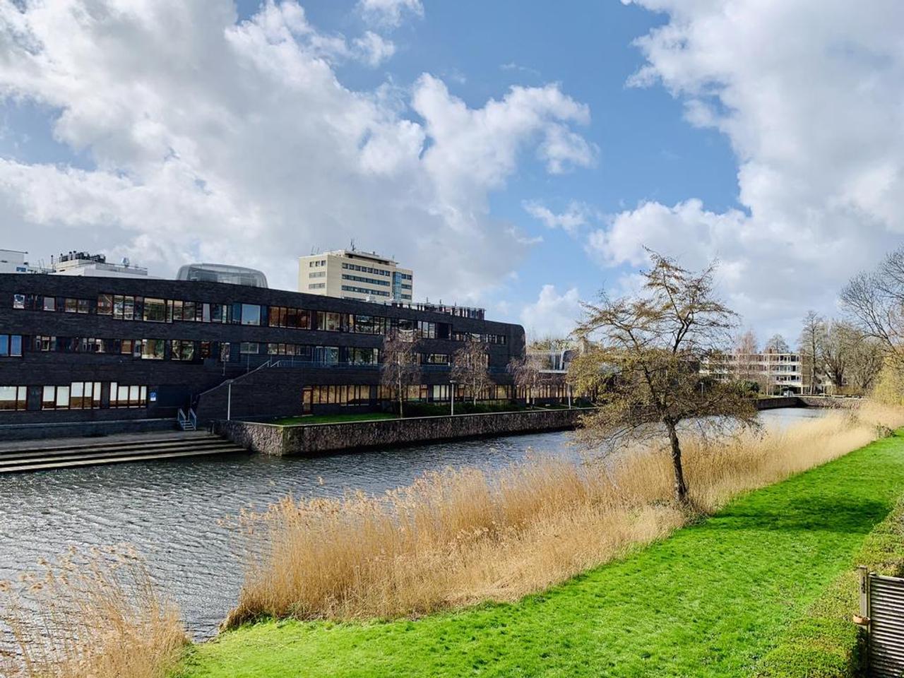 Rental Apartment on Frieslandstraat - Image 22