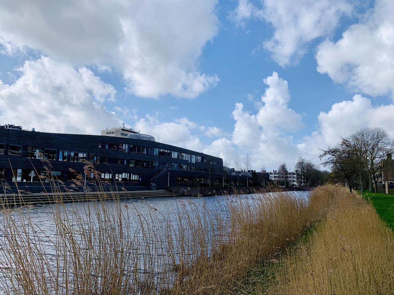 Rental Apartment on Frieslandstraat - Image 30