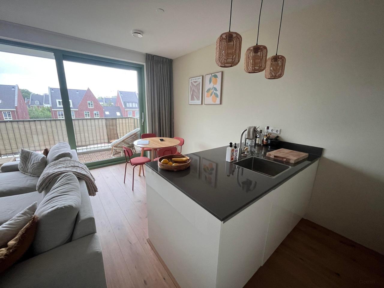 South-facing Roof Terrace and A++ in Haarlem - Image 6