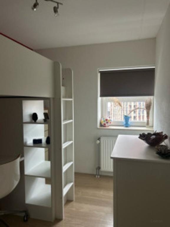 Gemeubileerd 3-kamerappartement met uitzicht - Afbeelding 19