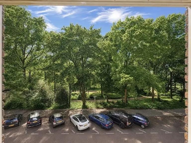 Gemeubileerd 3-kamerappartement bij Rembrandtpark - Afbeelding 4