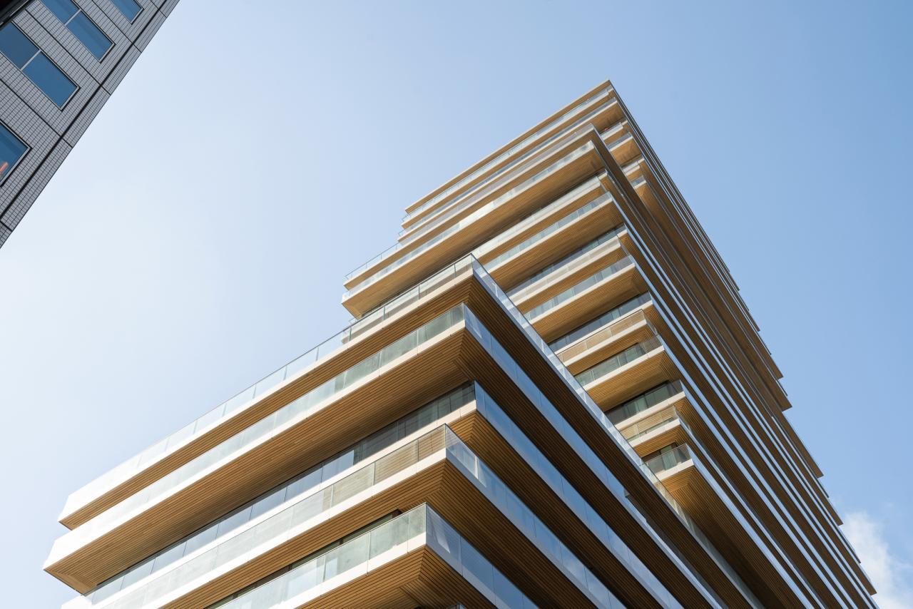 Zuidbalkon op de 15e in Stadsdriehoek - Afbeelding 1