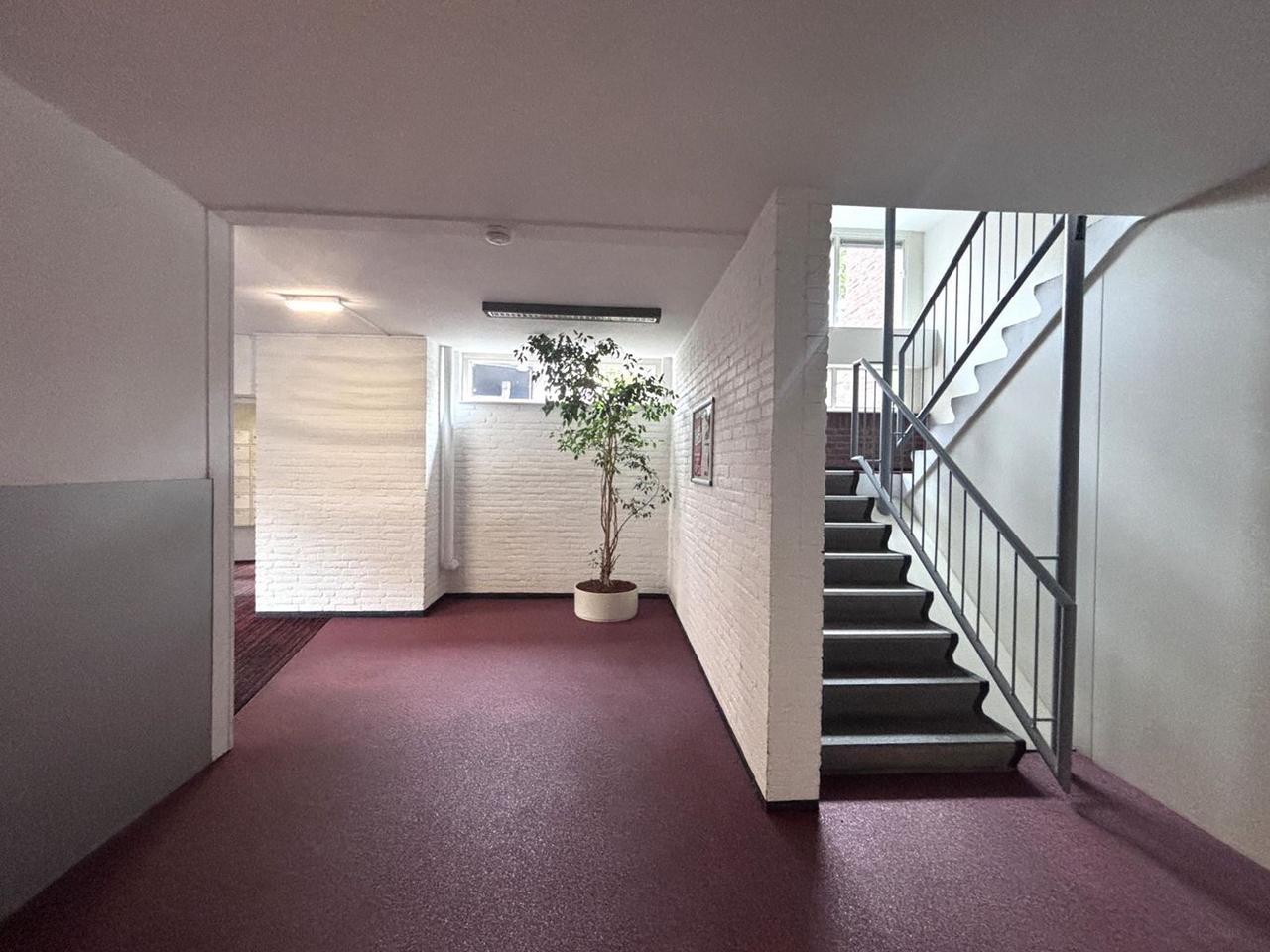 Furnished 3-Room Apartment in Maastricht - Image 27