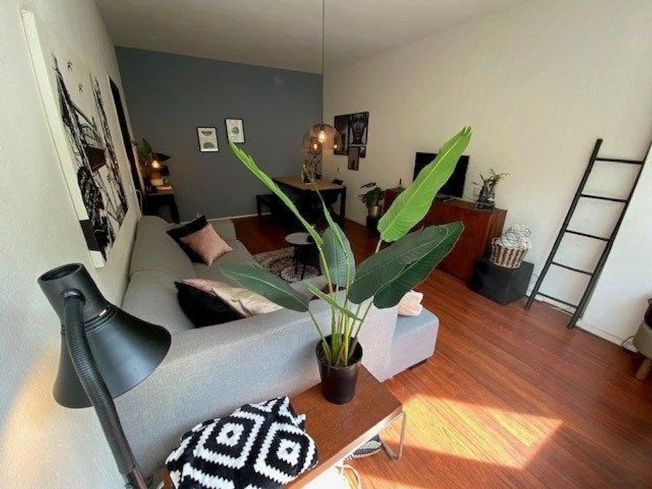 Gemeubileerd 3-kamerappartement in Stadsdriehoek - Afbeelding 1