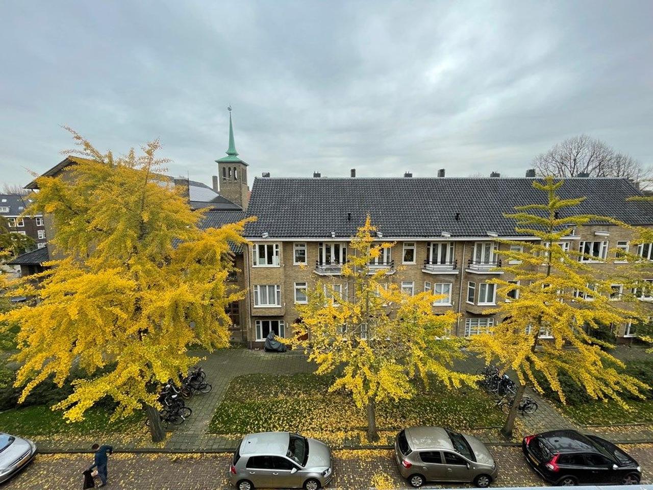 Dakterras van 20 m² in Rivierenbuurt - Afbeelding 11
