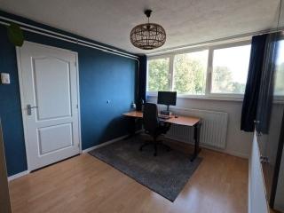 Available now: corner house with garden - Image 13