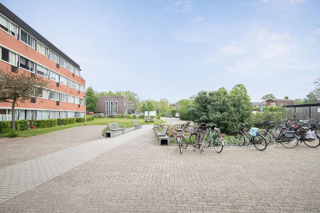 55+ Apartment with Lift in Assendorp - Image 13