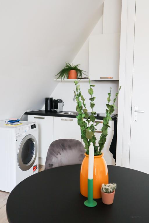 Gemeubileerde studio van 30 m² in Oude Westen - Afbeelding 4