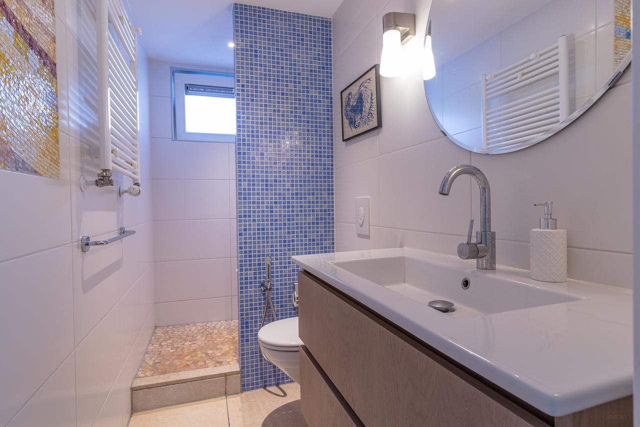 Woonboot aan de Amstel met sauna en tuin - Afbeelding 28