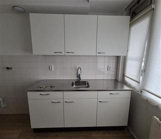 Balkon met uitzicht op groen in Het Lage Land - Afbeelding 3