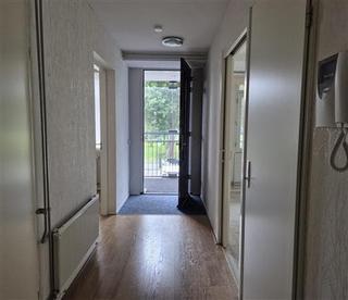 Balkon met uitzicht op groen in Het Lage Land - Afbeelding 4