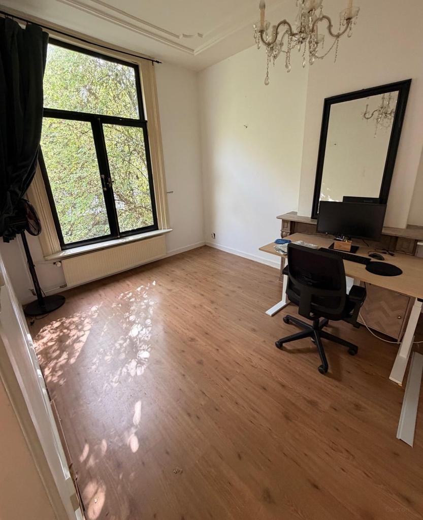 2-kamerappartement aan de Maliebaan - Afbeelding 3