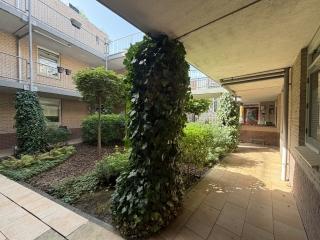 Renovated 2-Bedroom Apartment in Kamperpoort - Image 17