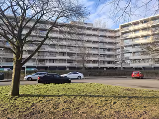4-Bedroom Apartment in Paddepoel