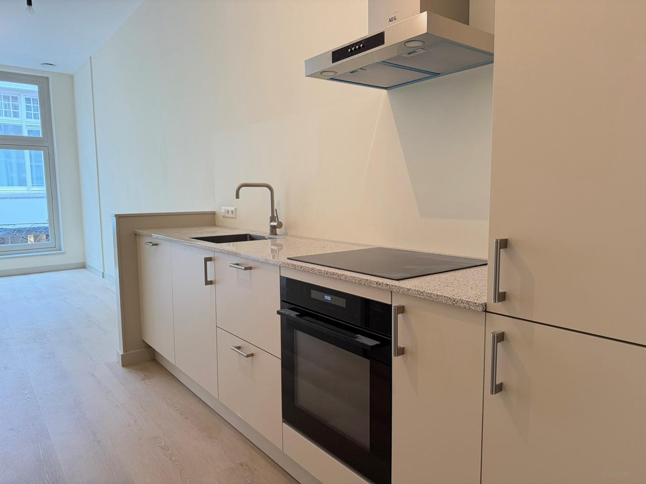 Renovated 1-Bedroom Apartment with Balcony - Image 1