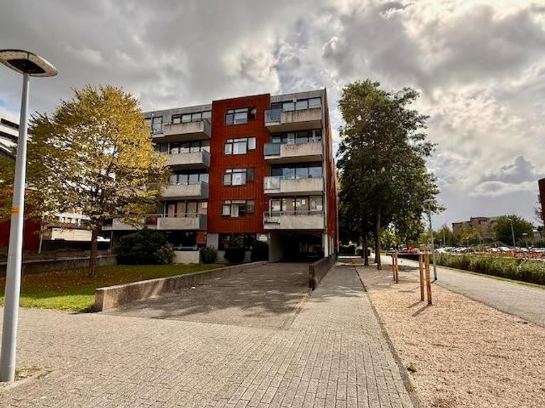 Gemeubileerd 3-kamerappartement met terras - Afbeelding 25
