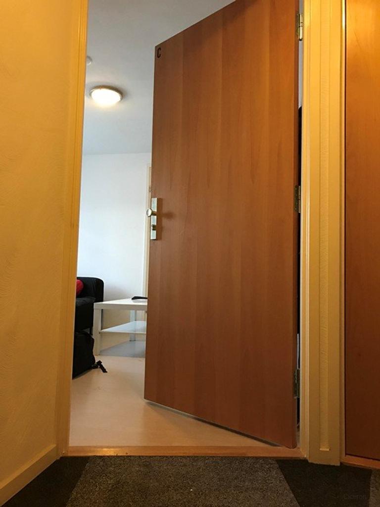 One-Bedroom Apartment Near High Tech Campus - Image 3