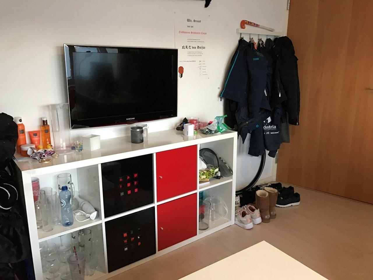 One-Bedroom Apartment Near High Tech Campus - Image 10