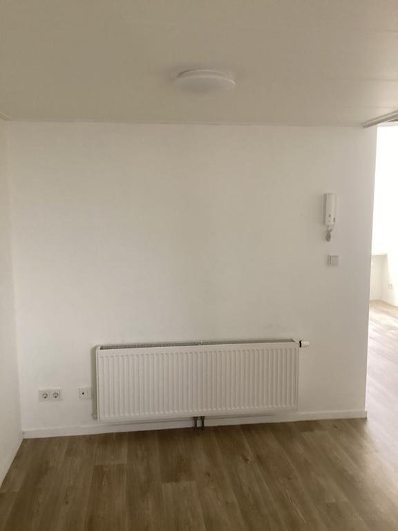 Studio with Sleeping Loft Near Noorderplantsoen - Image 11