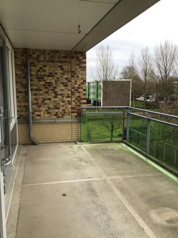 55+ Apartment with Garden in Kampen - Image 15
