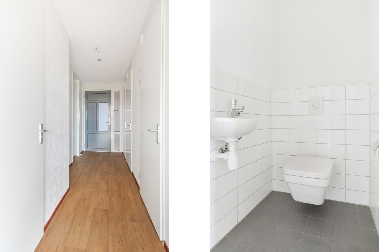 55+ Apartment with West-Facing Balcony in Kesteren - Image 5