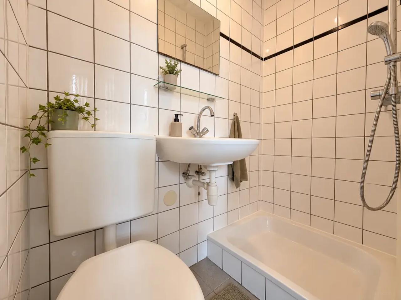 24 m² Student Studio near Koningsplein - Image 2