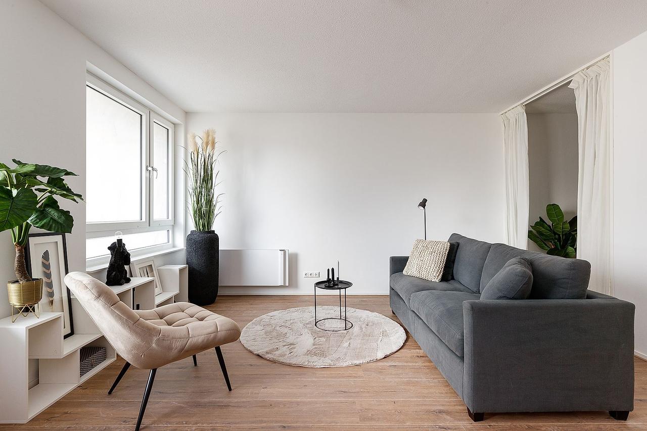 48 m² All-Electric Studio in Leiden - Image 2