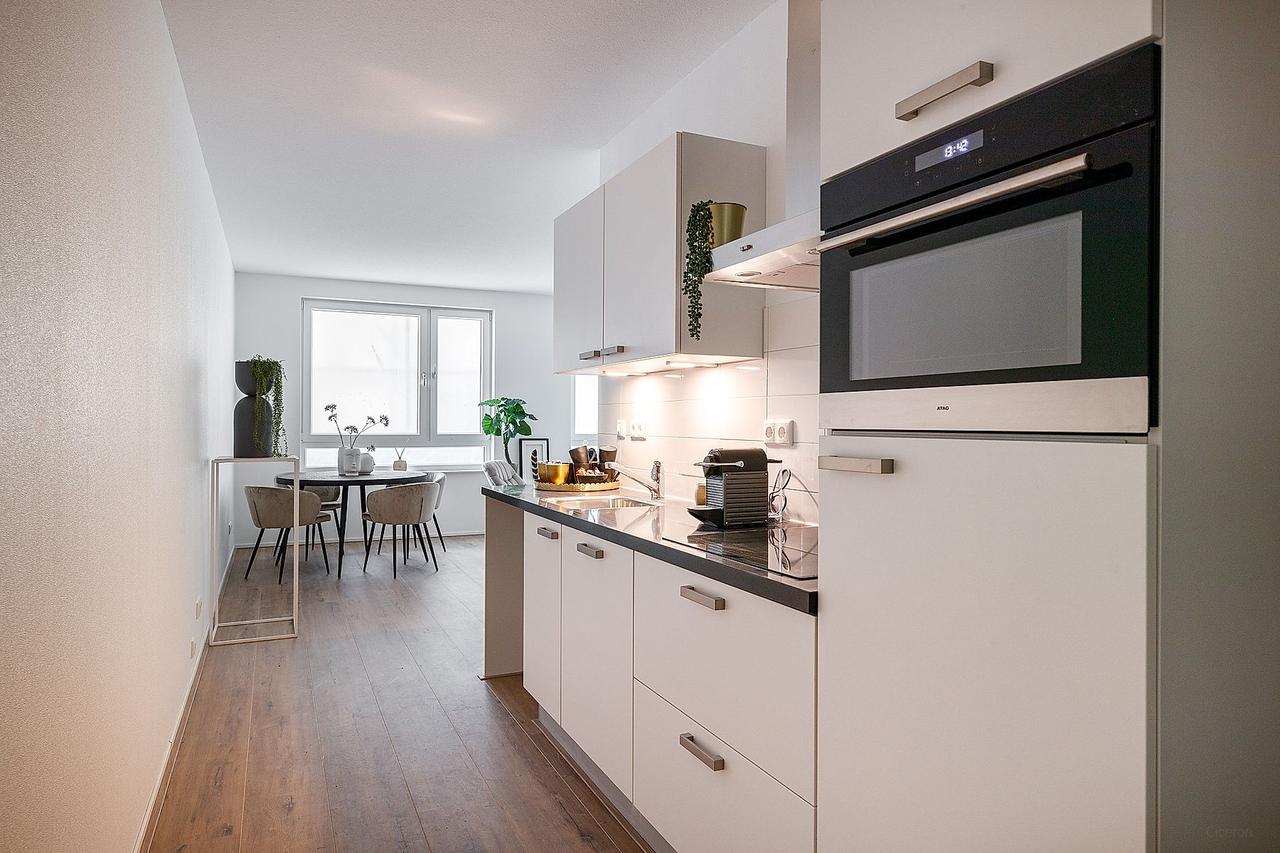48 m² All-Electric Studio in Leiden - Image 3