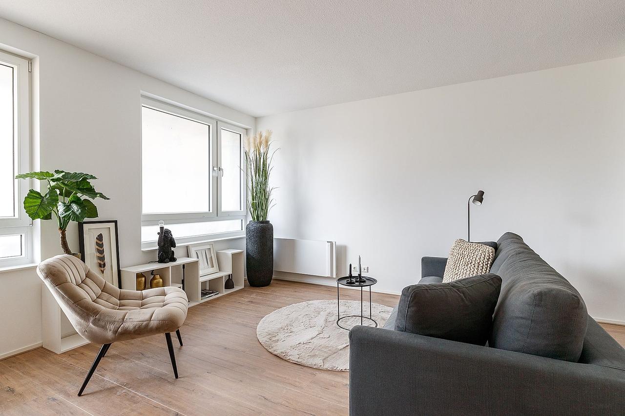 48 m² All-Electric Studio in Leiden - Image 5