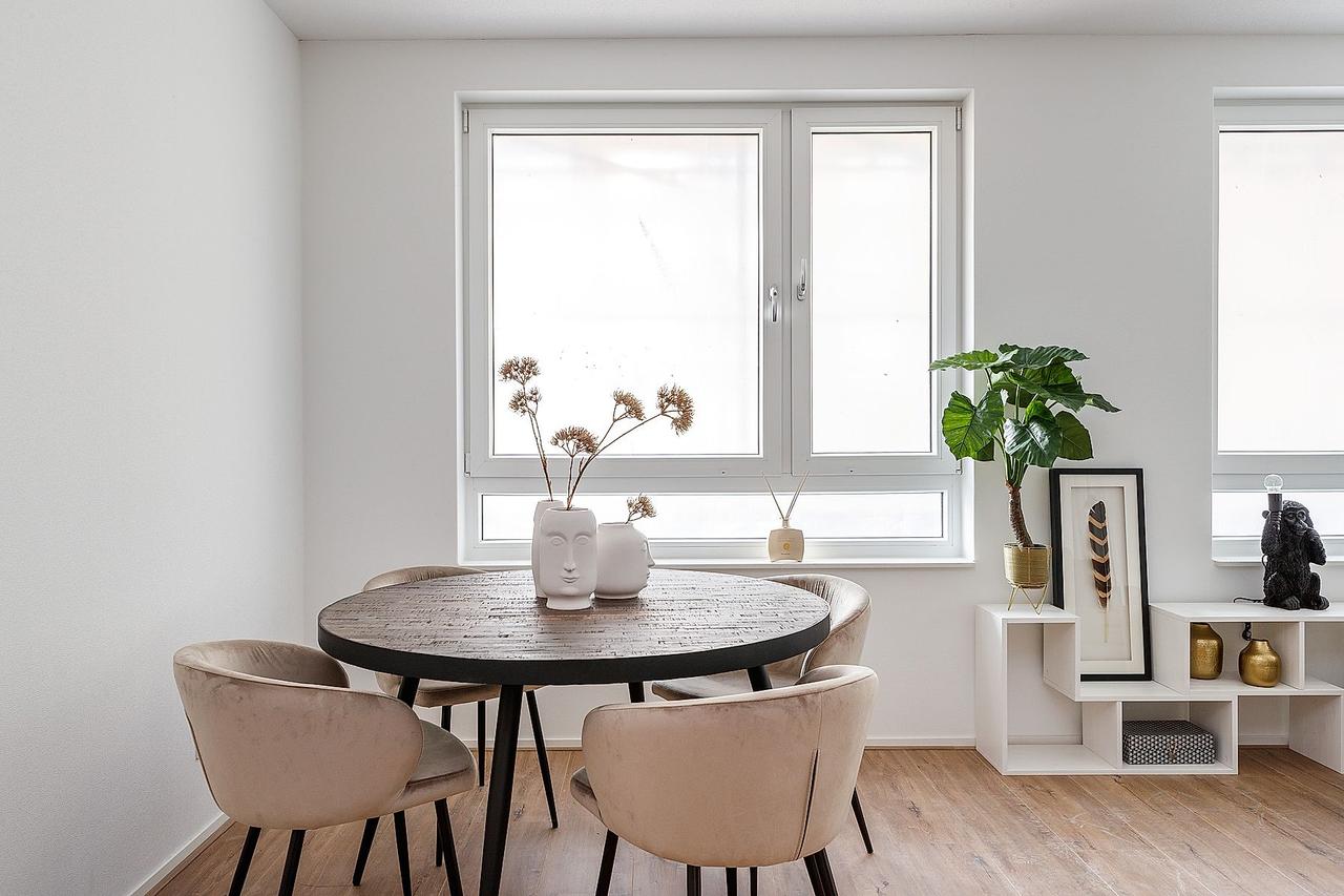 48 m² All-Electric Studio in Leiden - Image 6