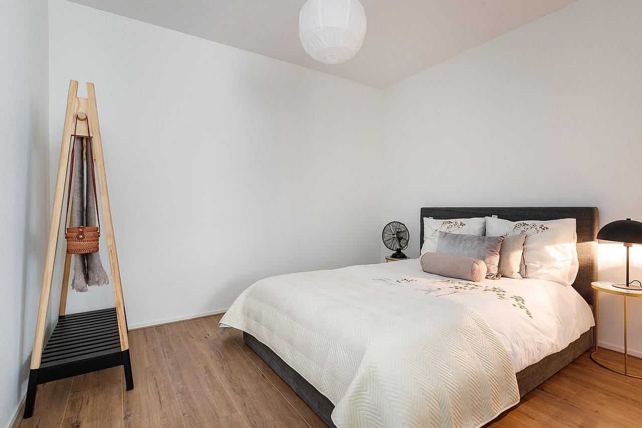 48 m² All-Electric Studio in Leiden - Image 8
