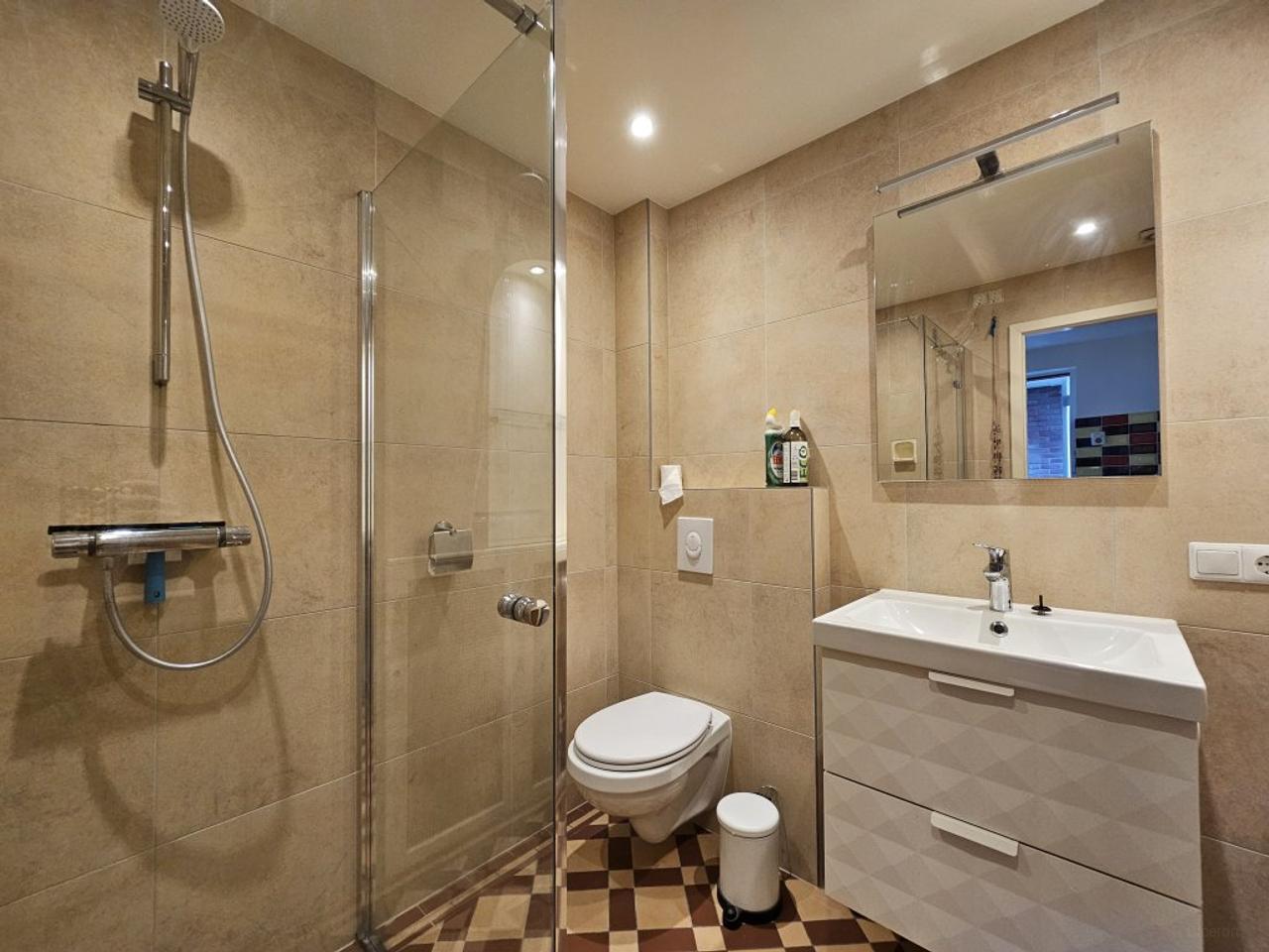 Furnished 50 m² Ground-Floor Flat in Hedel - Image 11
