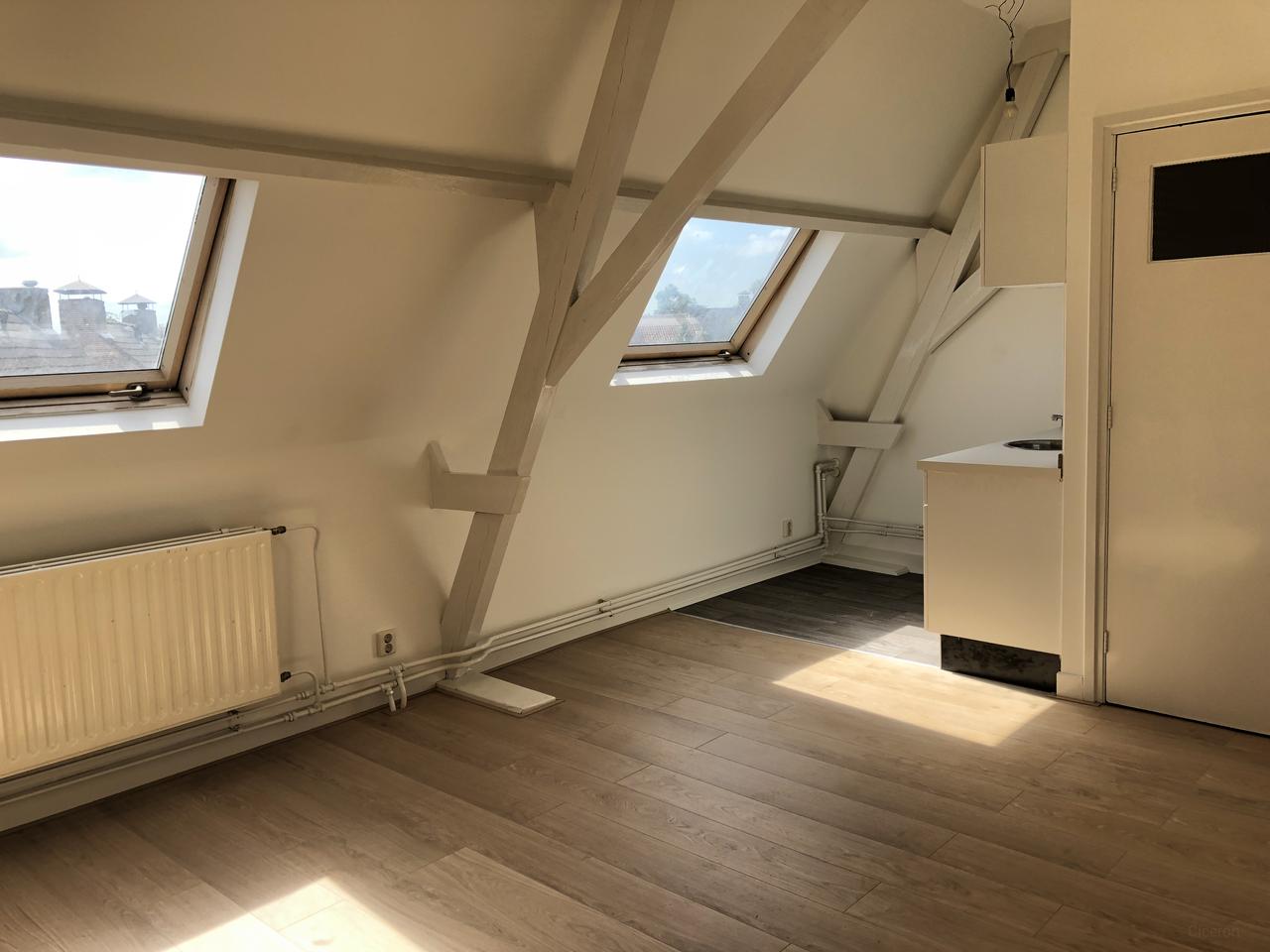 32 m² studio vlak bij station Roosendaal - Afbeelding 1