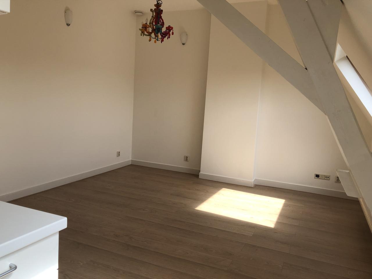 32 m² studio vlak bij station Roosendaal - Afbeelding 2