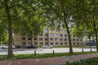 Furnished studio near the university