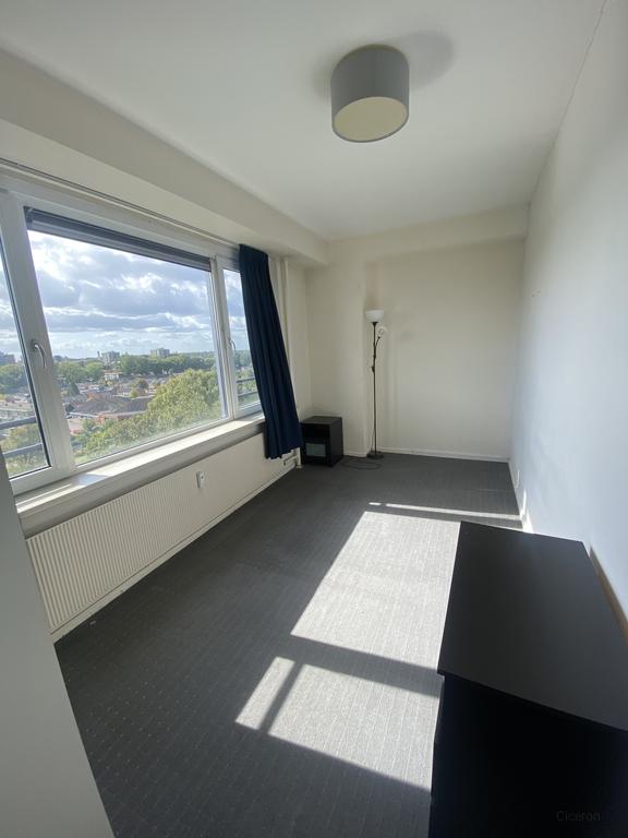 Unobstructed views from the 8th floor - Image 6