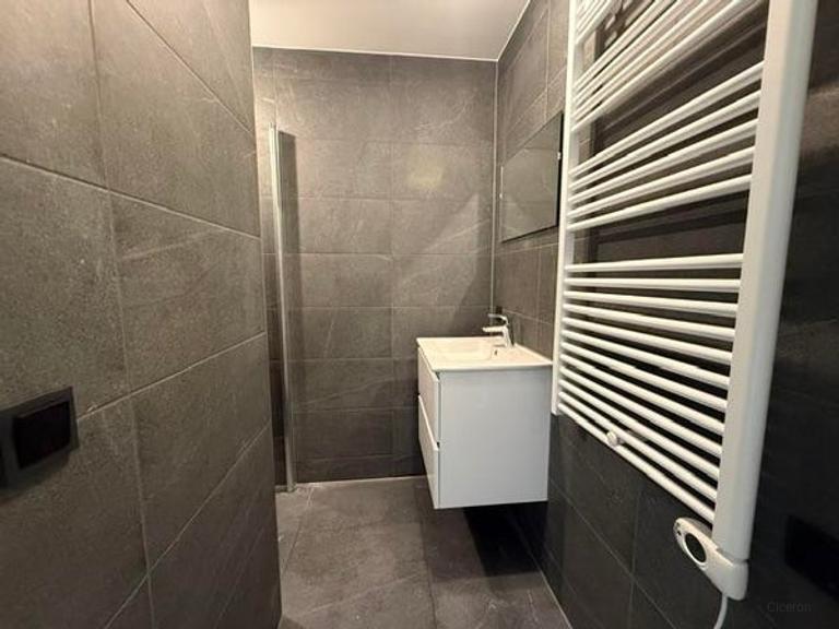 Licht 3-kamerappartement met balkon in Rijnbuurt - Afbeelding 6