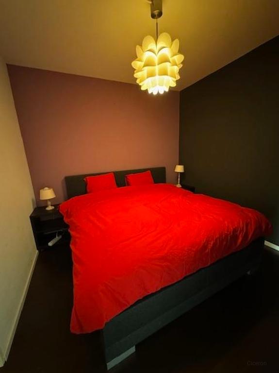 Appartement te huur aan Raadhuisplein - Afbeelding 11