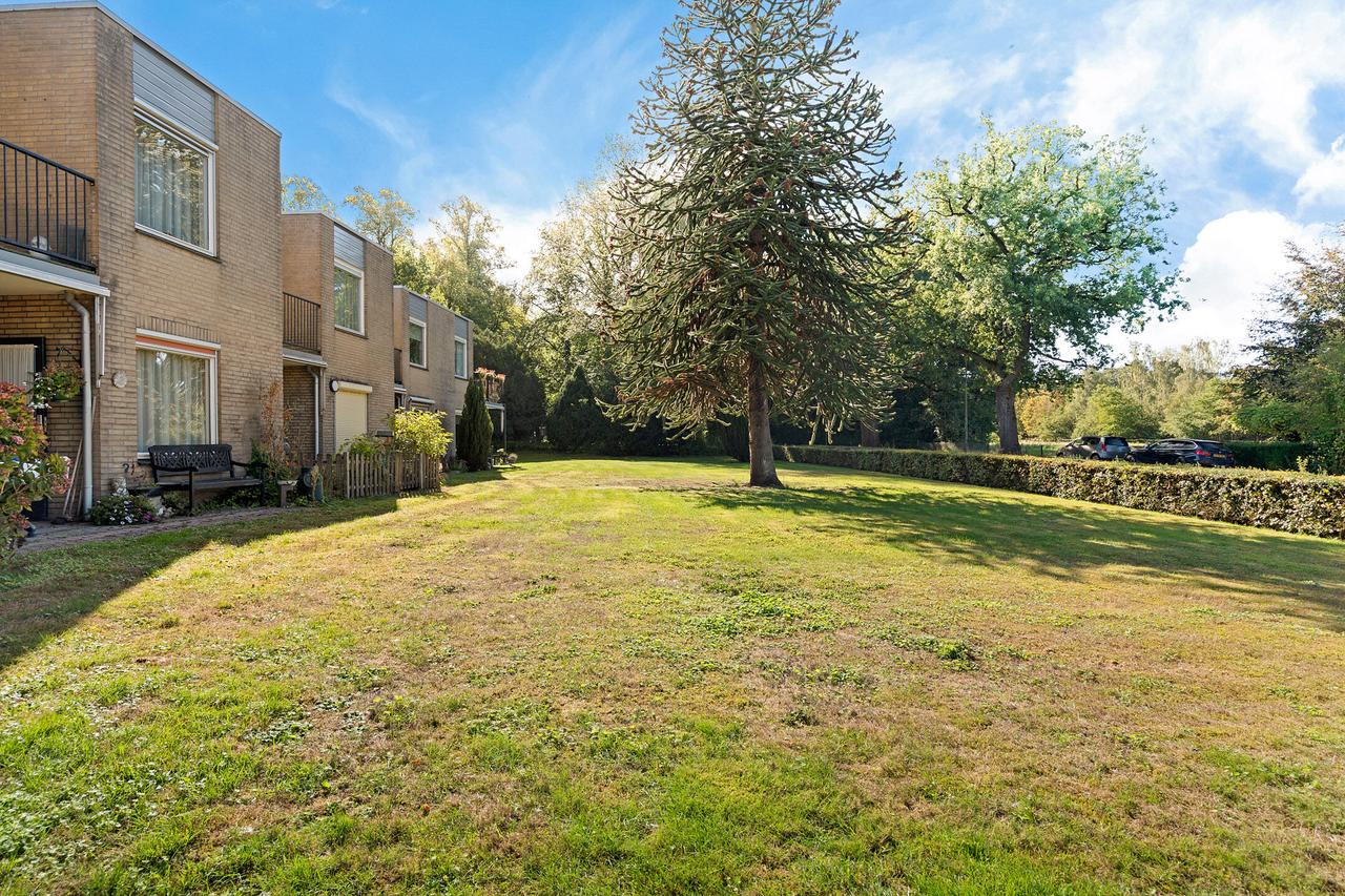 65+ Apartment with Terrace in Beekbergen - Image 15
