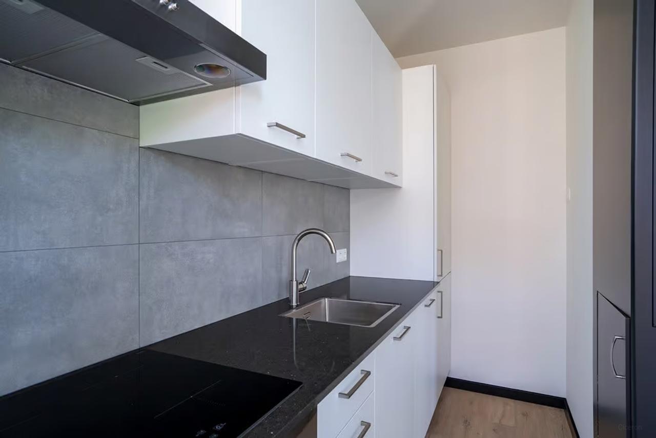 Furnished apartment in Statenkwartier - Image 8