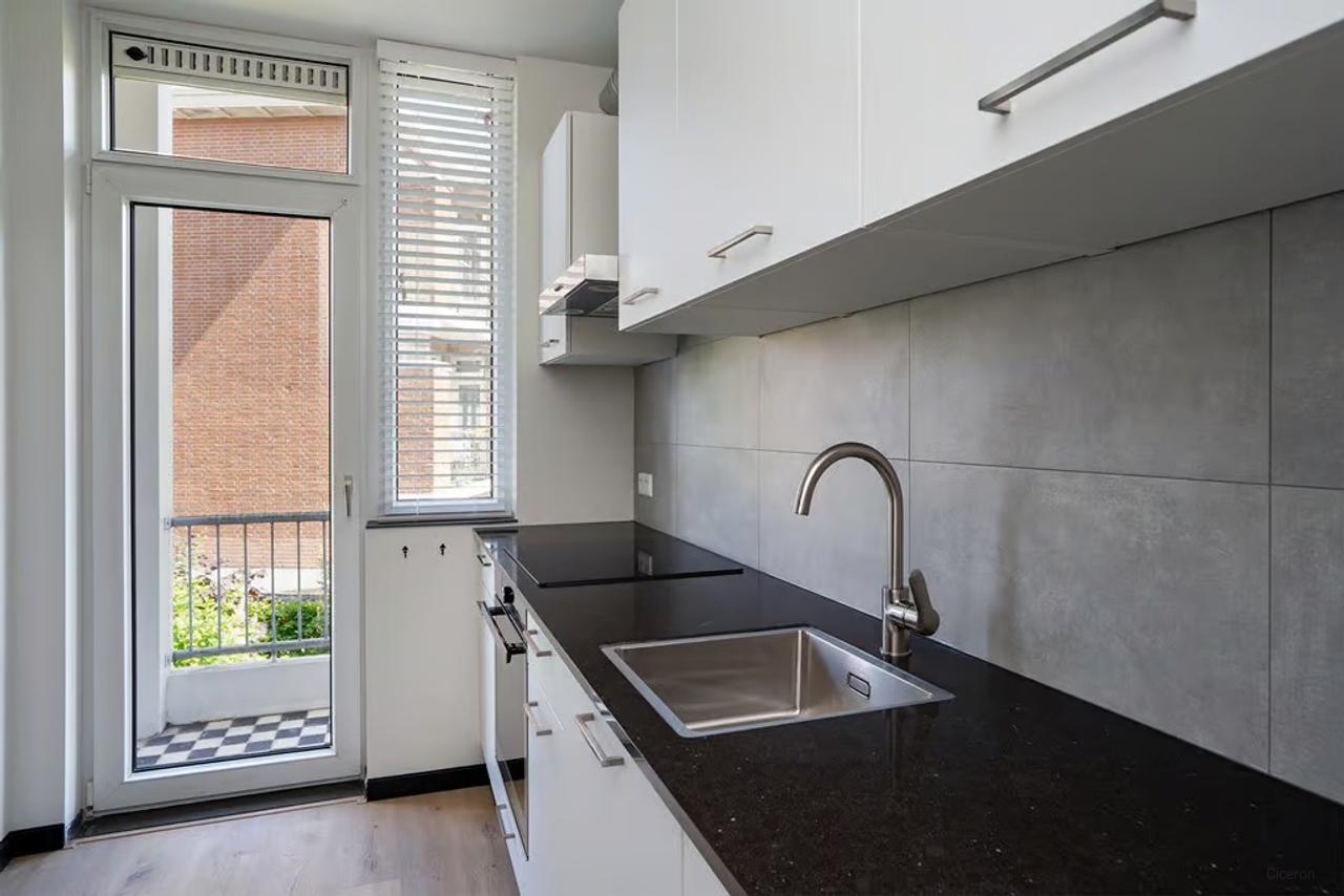 Furnished apartment in Statenkwartier - Image 9