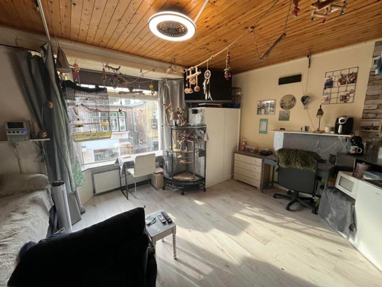Kamer met uitzicht en dakterras in Apeldoorn - Afbeelding 2