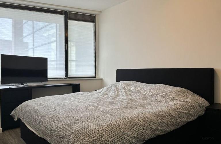 Furnished 2-Bedroom Apartment in Strijp - Image 16