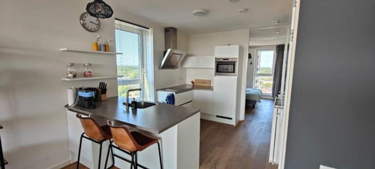 Furnished apartment with views in Leiden - Image 4