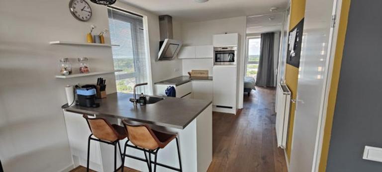 Furnished apartment with views in Leiden - Image 16