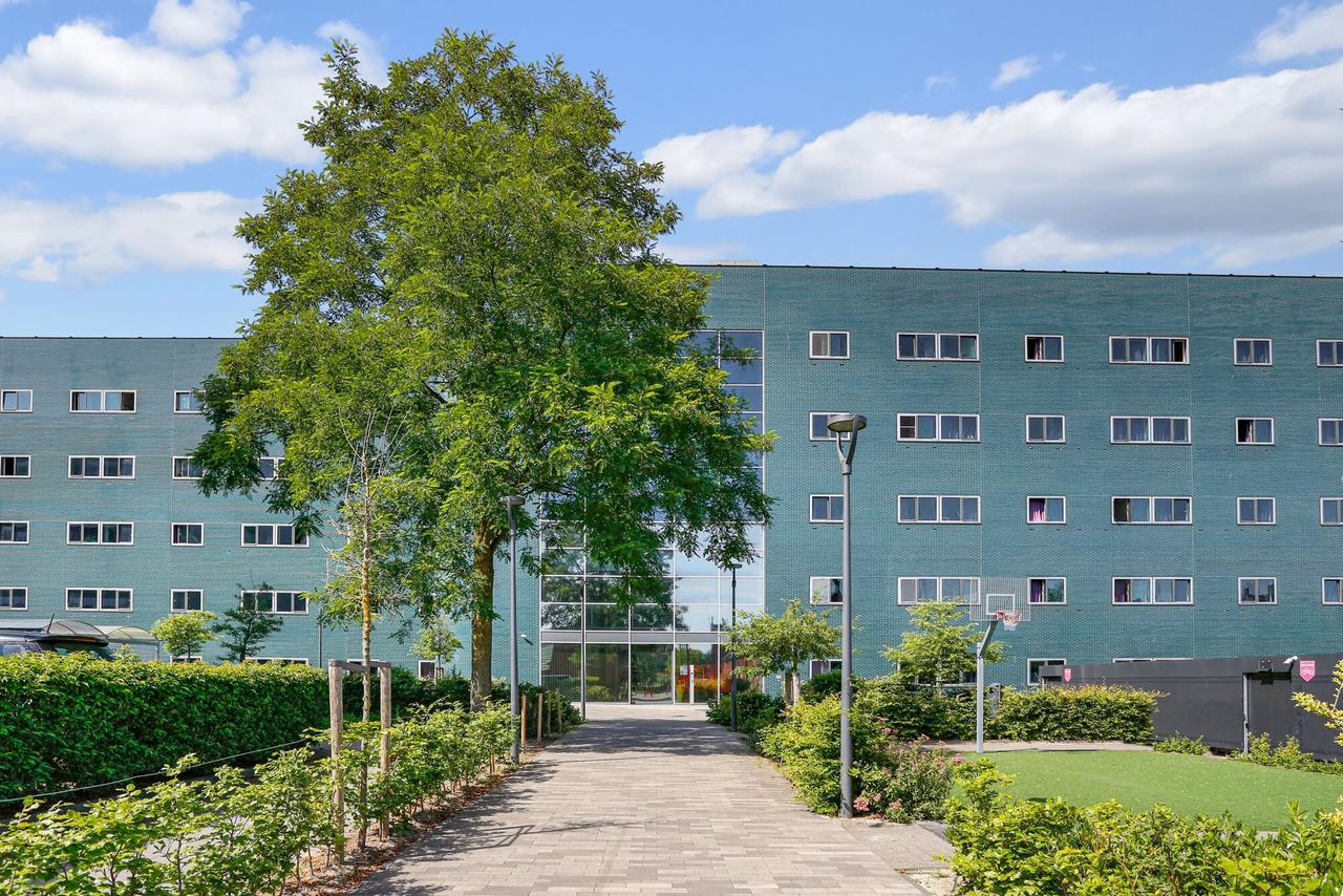 Furnished studio near Delft campus - Image 1