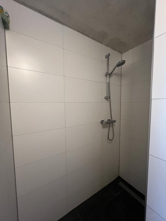Huurwoning in rustige Barrier, Eindhoven - Afbeelding 9