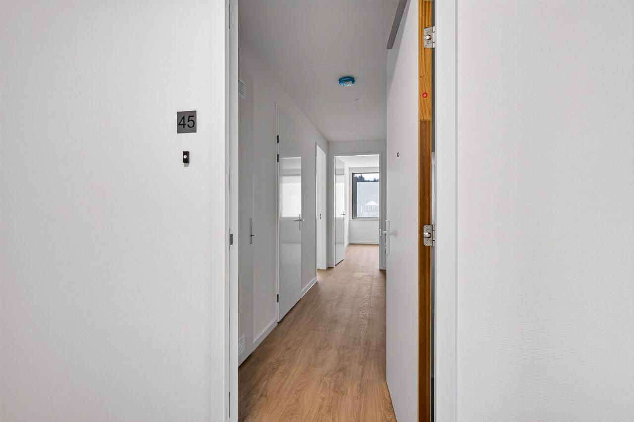 Step-Free One-Bedroom Apartment by the Forest - Image 9