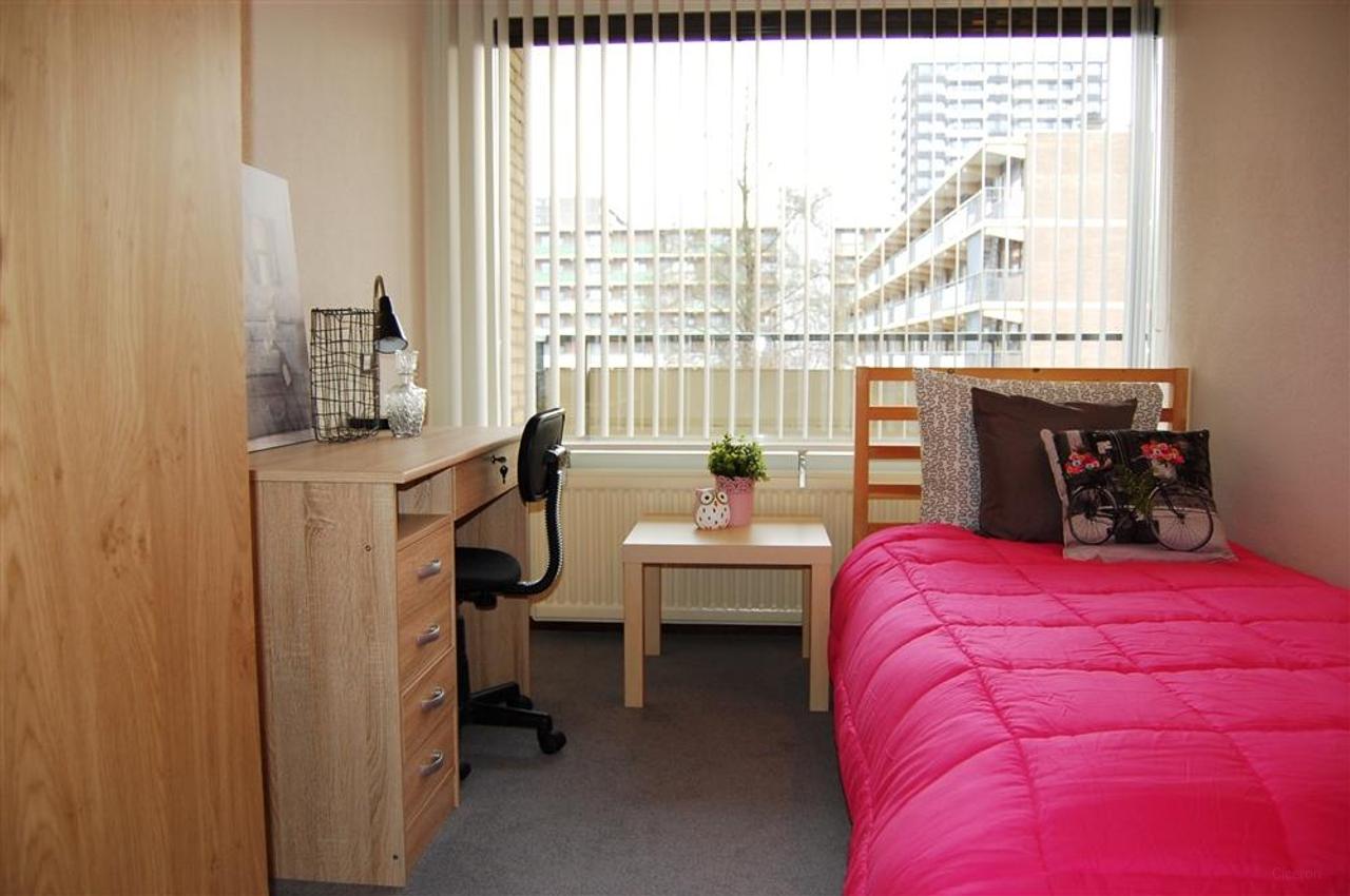 Gemeubileerd 4-kamerappartement bij Groenhof - Afbeelding 7